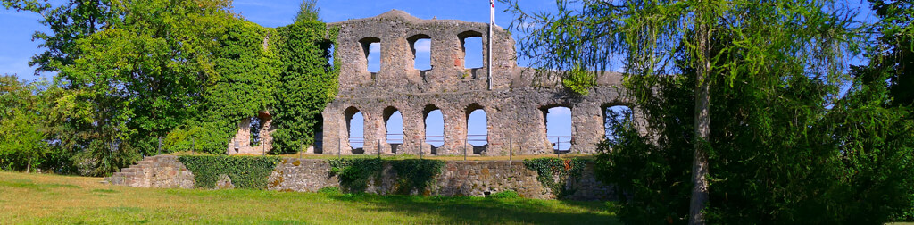 Burg Karlsburg