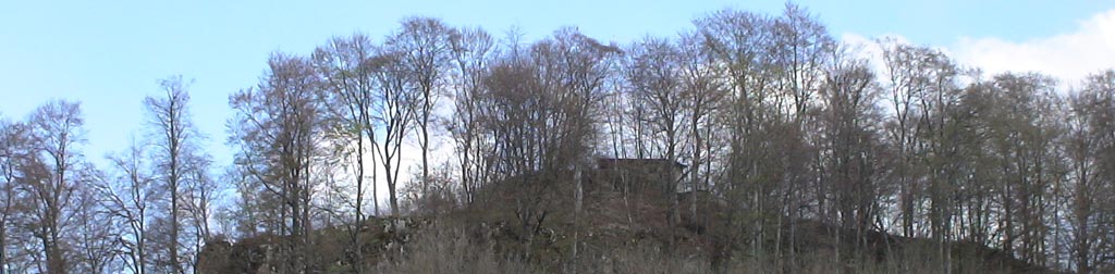 Burg Oberstetten, Ödenburg