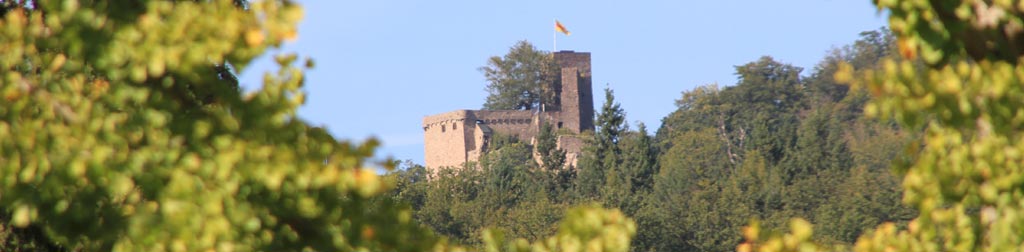 Burg Hohenbaden, Altes Schloss