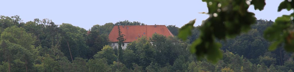 Burg Hohenentringen