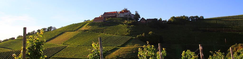Burg Staufenburg