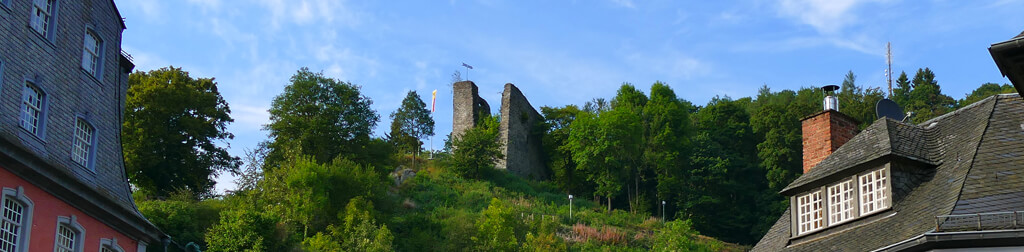 Burg Haller