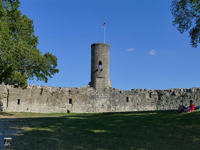 Die Schildmauer der Vorburg der Burg Homburg besteht aus völlig unterschiedlichen Steinen. Sie wurde anscheinend mehrmals verändert. 
