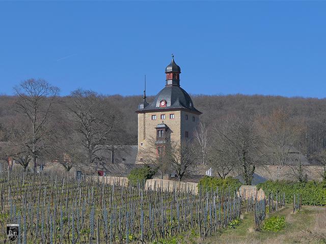 Burg und Schloss Vollrads wird weitläufig von Weinberghängen eingerahmt. Die umliegende Umgebung lädt zum Wandern und Verweilen ein. 