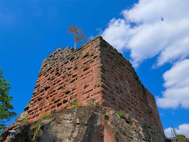 Der Stumpf des Bergfrieds der Burg Frankenstein unterscheidet sich massiv vom Rest der Anlage. Hier wurden mächtige Eck- und Buckelquader verwendet. Das Gebäude gehört eindeutig zu den ältesten Bauten der Burg. 