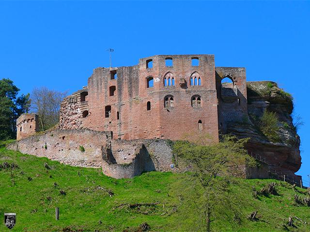 Die Zwingeranlage schützte mit mindestens einem integriertem Wehrturm die Burg Frankenstein zu einer der beiden potentiellen Angriffsseiten. 