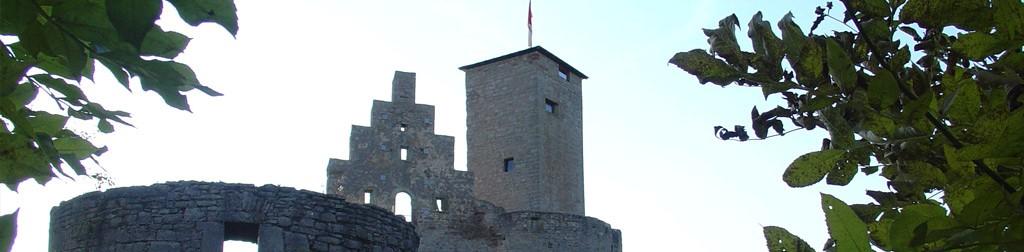 Burg Trimburg, Trimberg