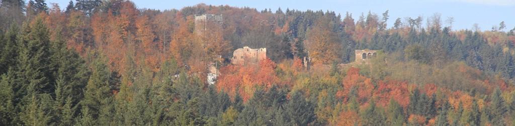 Burg Wildenberg, Wildenburg