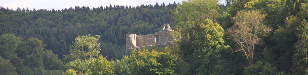 Burg Bichishausen