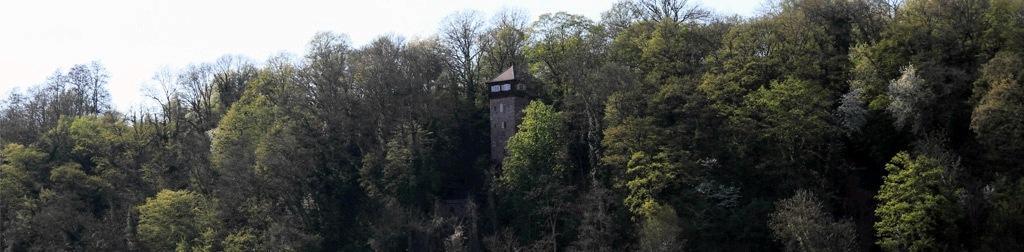 Burg Dauchstein