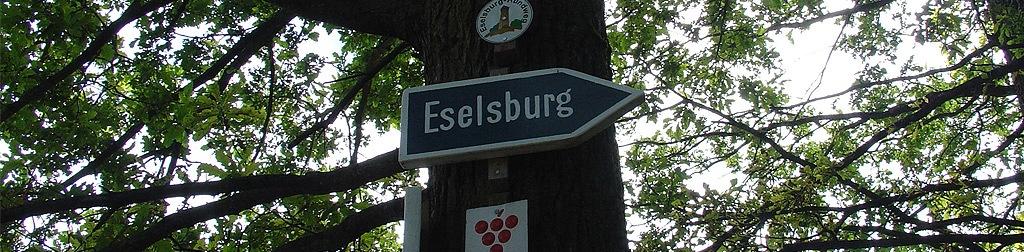 Burg Eselsburg