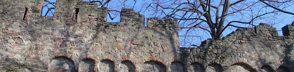 Burg Handschuhsheim