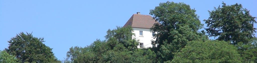 Burg Hohenalfingen