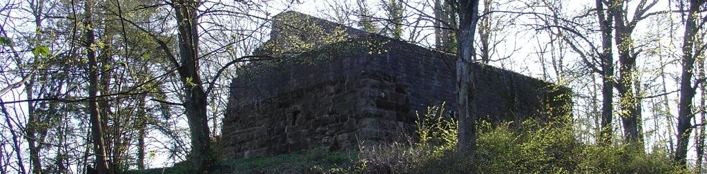 Burg Kransberg