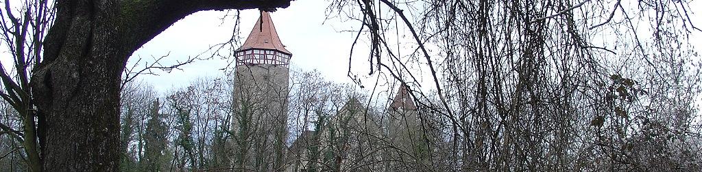 Burg Möckmühl