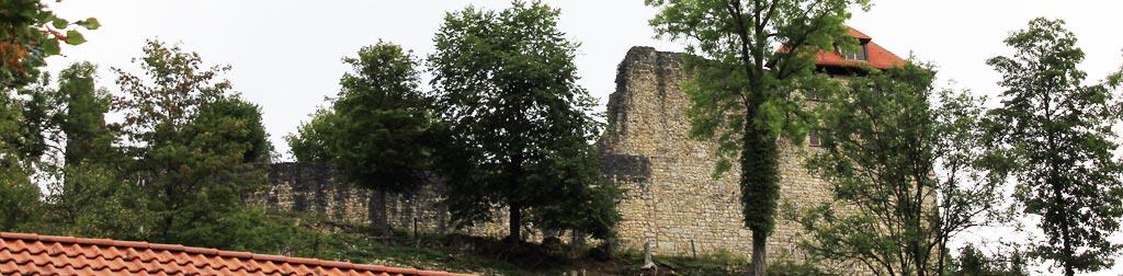Burg Niedergundelfingen