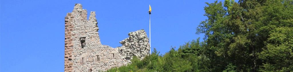 Burg Schenkenburg, Schenkenzell