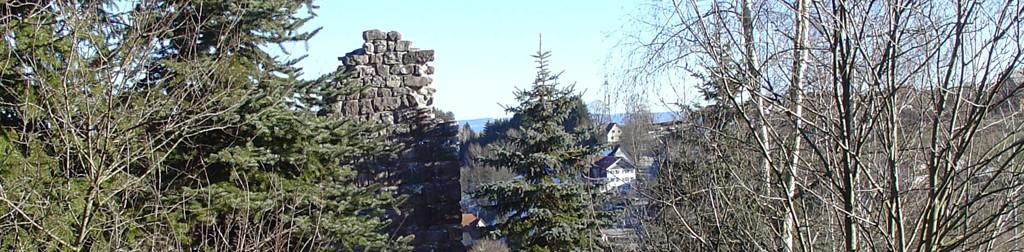 Burg Weiberzahn, Bärenburg