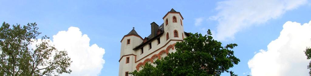  Kurfürstliche Burg Eltville