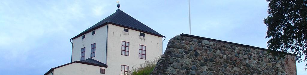 Burg Nyköpingshus