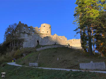 Burg Ehrenberg 61