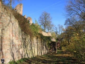 Burg Kollenburg, Collenburg 16