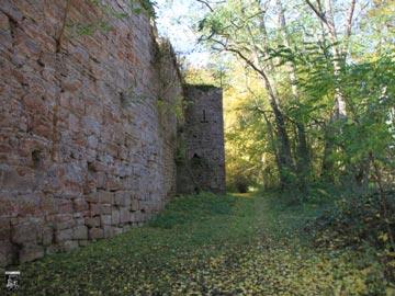Burg Kollenburg, Collenburg 17