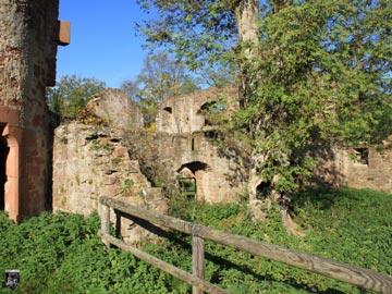 Burg Kollenburg, Collenburg 33