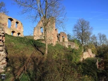 Burg Kollenburg, Collenburg 50