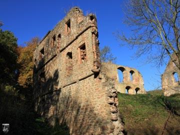 Burg Kollenburg, Collenburg 51