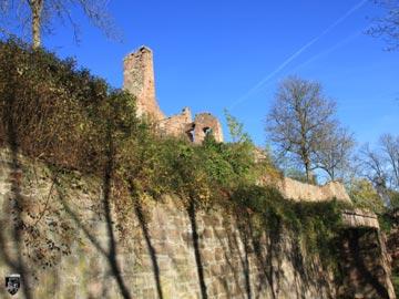 Burg Kollenburg, Collenburg 6
