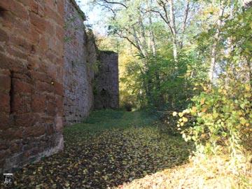 Burg Kollenburg, Collenburg 73