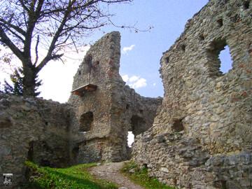 Burg Hohenfreyberg 44