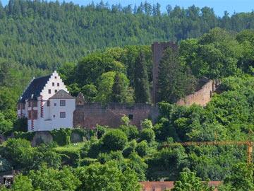 Burg Miltenberg, Mildenburg 1