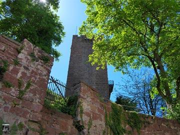 Burg Miltenberg, Mildenburg 22