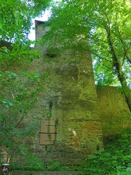 Burg Miltenberg, Mildenburg 58