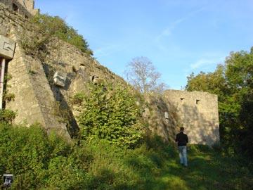 Burg Trimburg, Trimberg 2