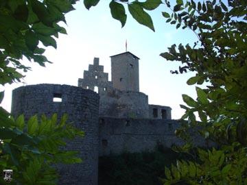 Burg Trimburg, Trimberg 3