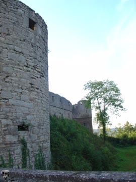 Burg Trimburg, Trimberg 6