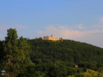 Burg Wolfstein 52
