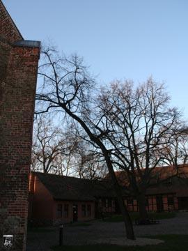 Burg Beeskow 15