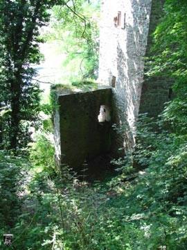 Burg Dauchstein 4