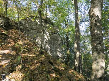 Burg Diepoldsburg, Rauber 35