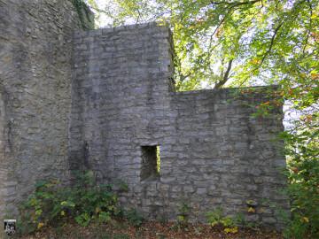 Burg Diepoldsburg, Rauber 7