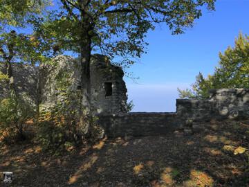 Burg Diepoldsburg, Rauber 9