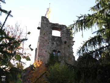 Burg Falkenstein 28