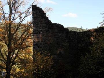 Burg Falkenstein 32
