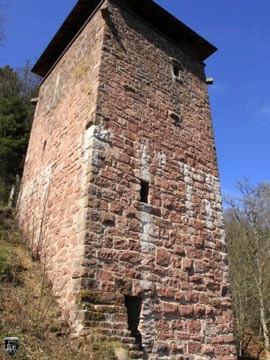 Burg Fautsburg 16