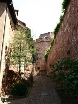 Schloss Heidelberg, Heidelberger Schloss 113