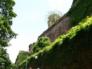 Schloss Heidelberg, Heidelberger Schloss 36